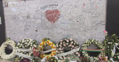 Les Bourguignons rendent hommage aux victimes des attentats de Bruxelles